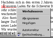 Microsoft Word 97 oder Die wundersame Welt der Rechtschreibung